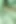 Stacxxxs sunar: Greenlight Special - Amber Lee