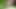 young colombian porn with big penis full of milk