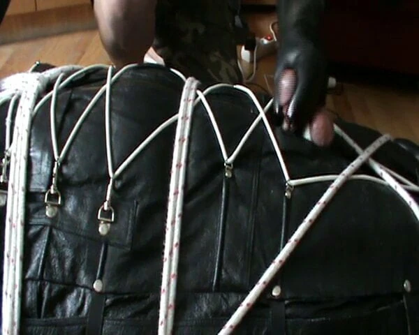 CBT by NeonWand when in the leather bodybag