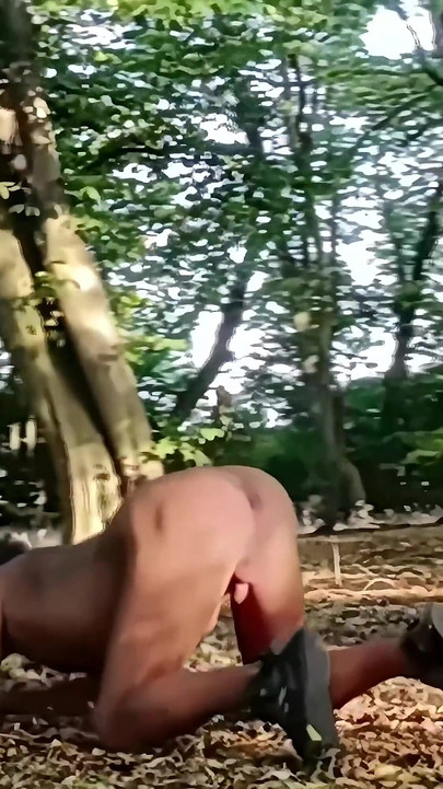 公共の森で尻を上げて