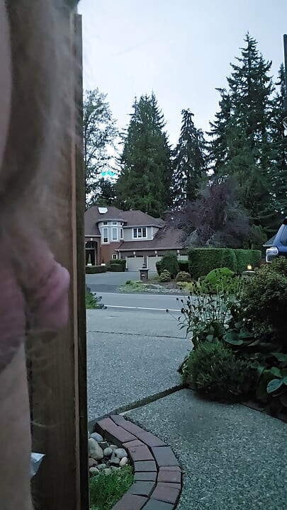 Evening Walk Around