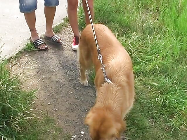 Chica sexy follando en una carretera