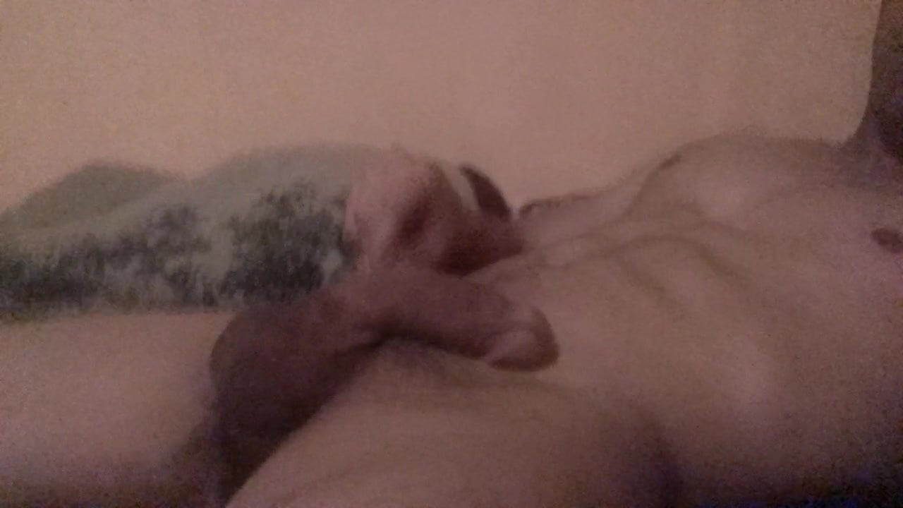 Paja en Webcam