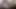 Fuck Me King I'm Here To Serve You: A Brief Preview