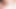 十代の女の子は彼女の油性の若い猫をこすります