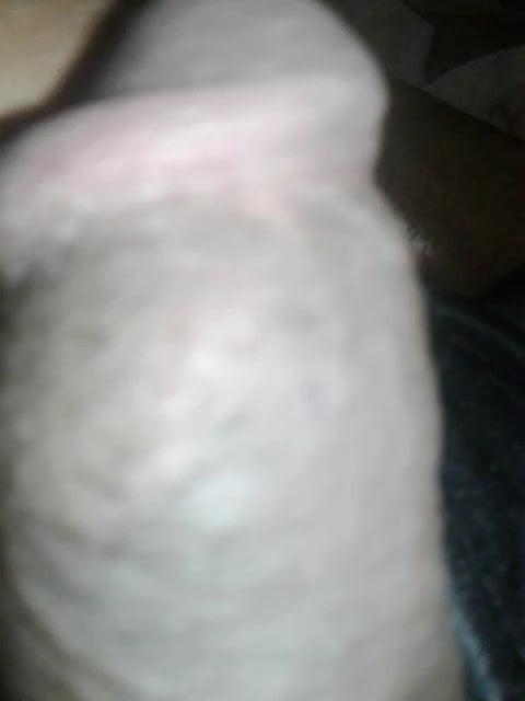 Big Black Cock