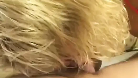 Schau dir meine MILF an - amateur-ehefrauen und mütter