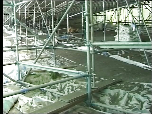 Ek larki, akeli, do parphekt ajanbiyon ke sath