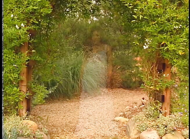 Threesome big cock sucking pussy licking pussy fucking