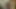 彼女に仕えるために作られた