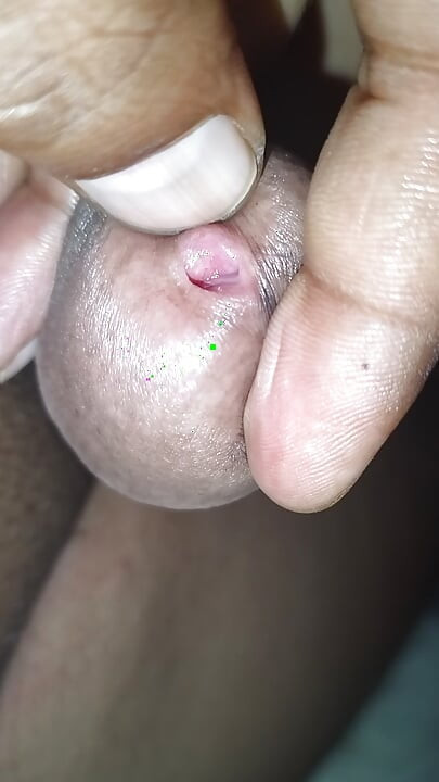Man Hindi malish land