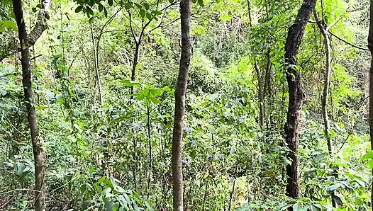 AKU MENEMUKAN PERI SEKSI KE HUTAN