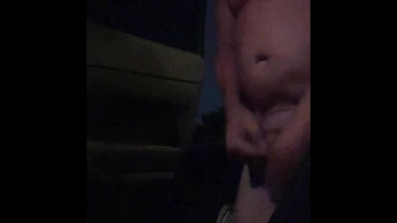 Stripping naked at Taylor creek cruising site.