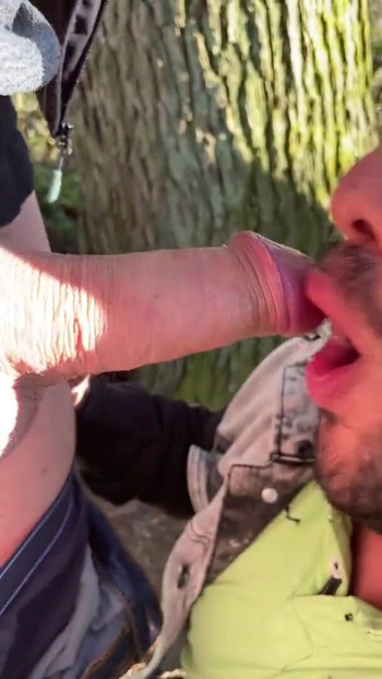 在树林里口交 |剪辑 1