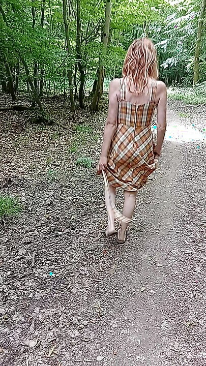 我走在森林裡 1