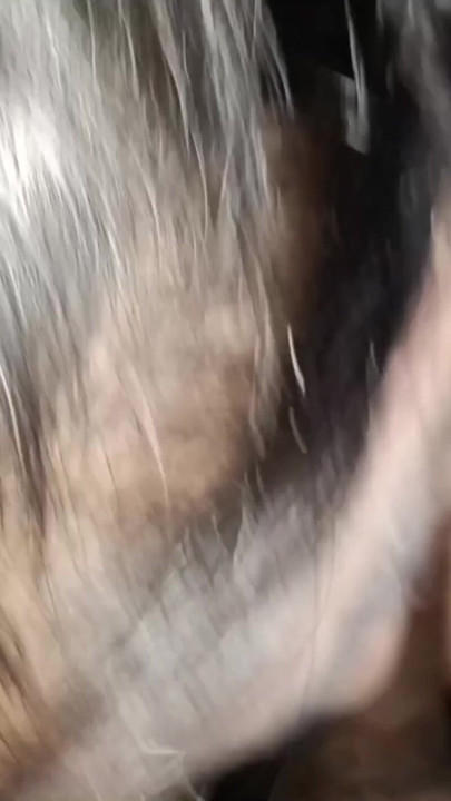 Hot Indian Girl Big Boobs Tit job & Cock Between Tits - Real Amateur Desi | Clip 1