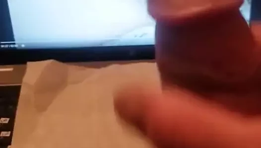 Kedi kedi 1