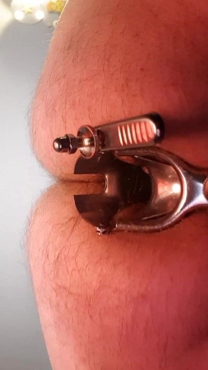 Speculum 1st try - erster Versuch mit spekulum