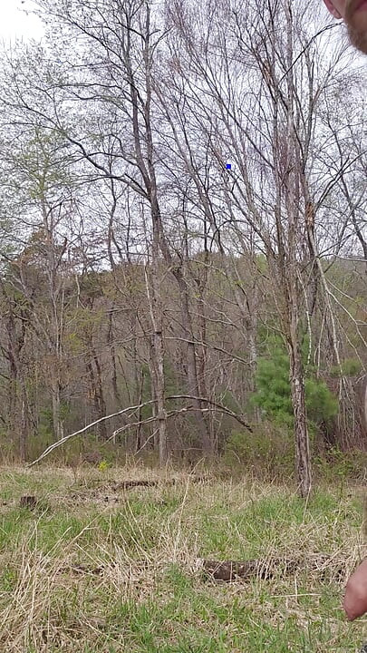 Pissing in the woods while nude