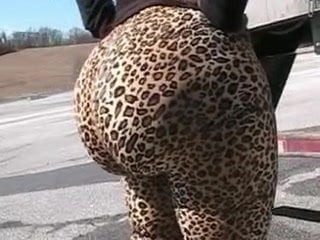 Leopard Bubble