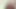 Home alone and massaging my dick (dick masturbateing )