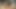 タイのサミーが男と顔を合わせて縁取られる