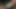 Indian desi village randi aunty hand job cumshot video