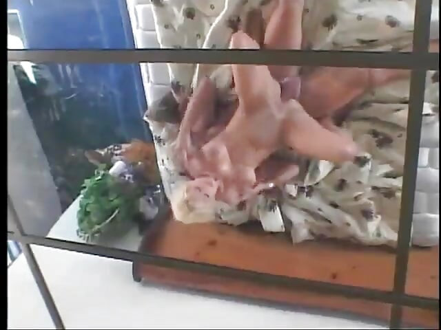 Luxurious blond chick with perfect body gets her pussy drilled