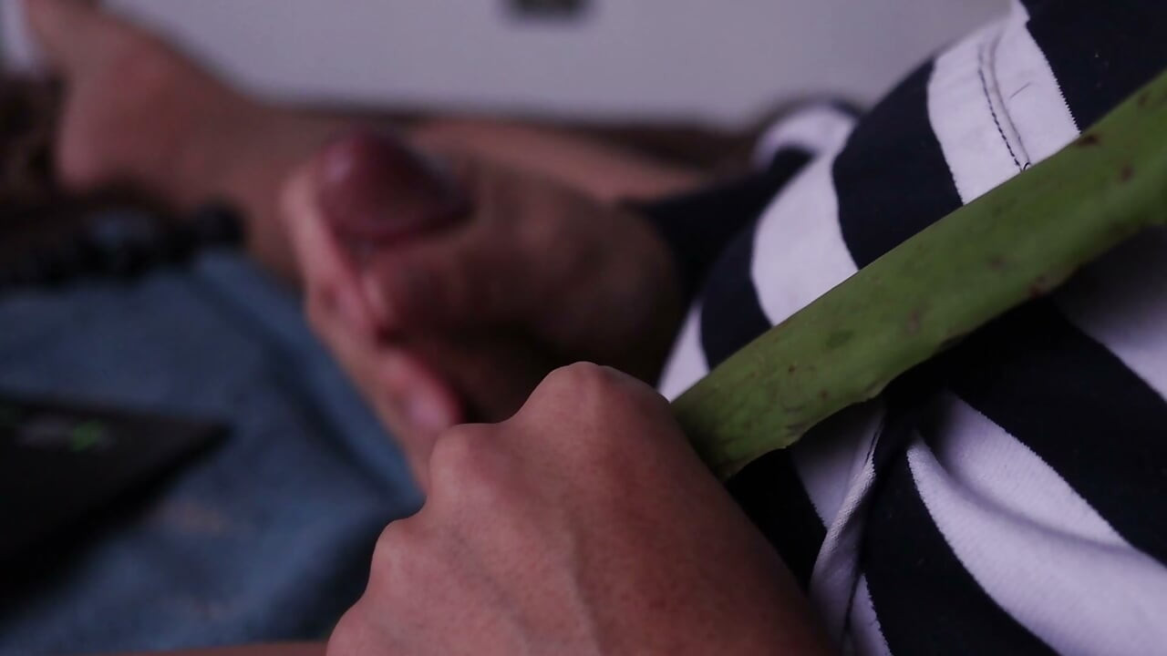 jerking off with aloe