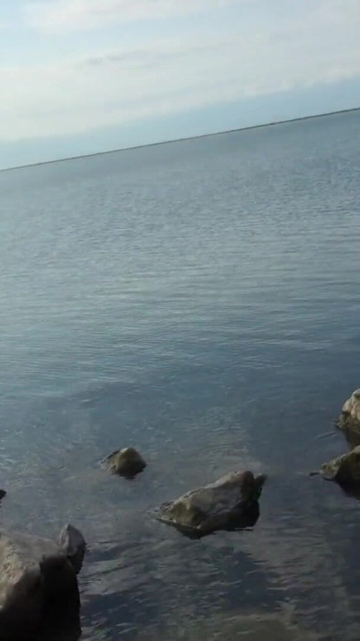 Stranger - Cum in a girl's mouth on the beach | Clip 1