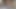 neighbor gently sucks dick until I cum