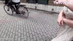 Pregled videozapisa
