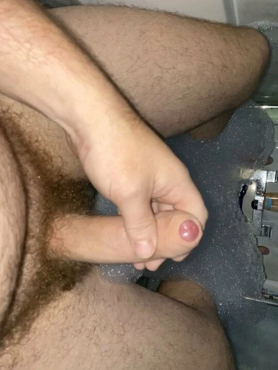Morning glory