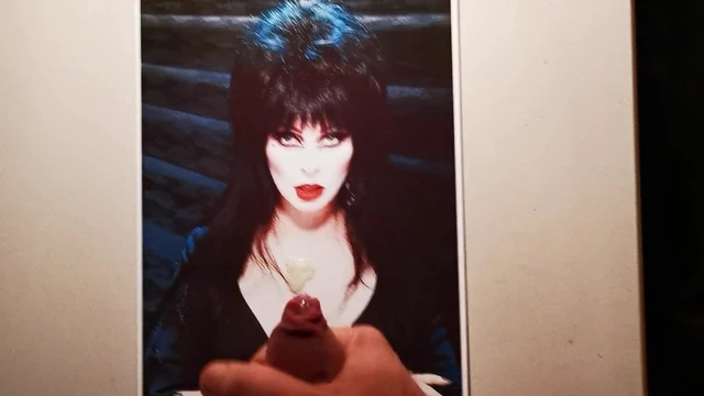 Elvira - Mistress of the Dark Cum Tribut 4