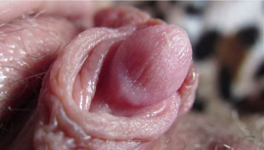 Big Clit Compilation Close-Up