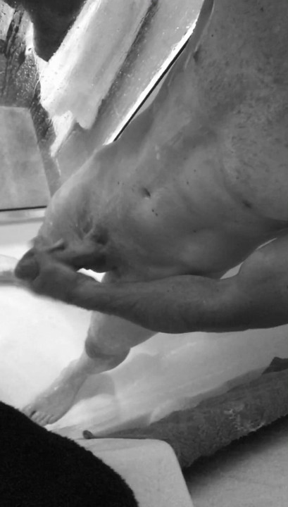 Horny in  the shower playing with my white cock
