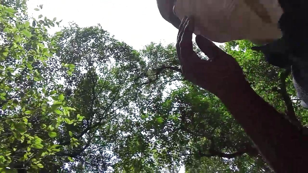 Jangal me mangal chut ki chudai