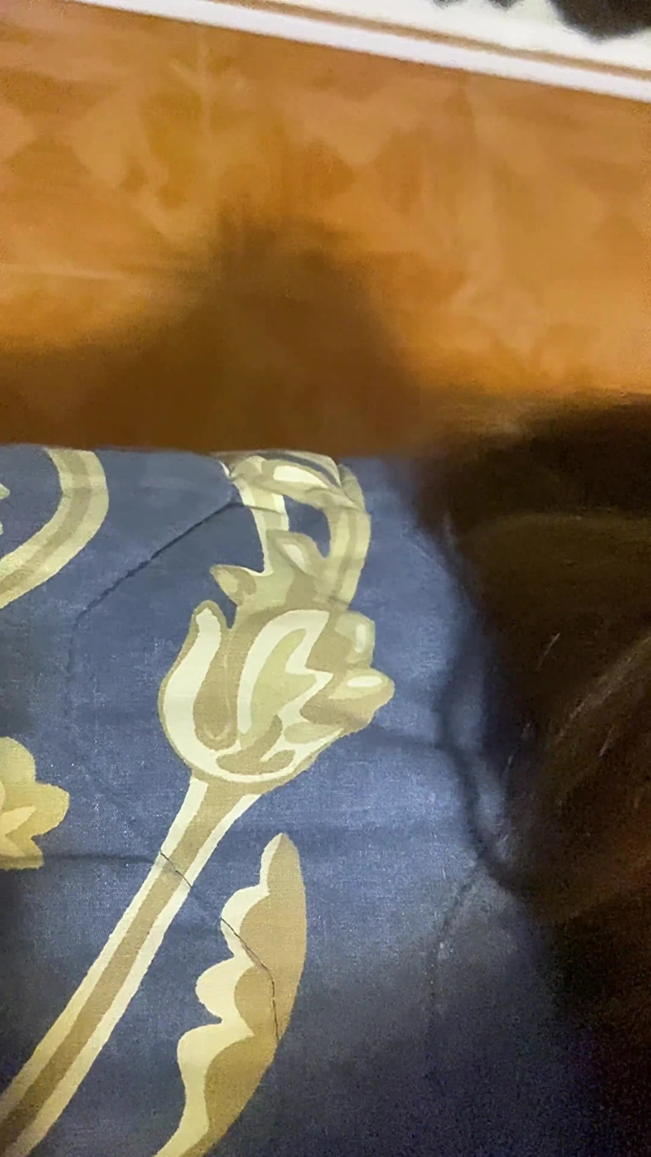 Komşunun seksi sürtük karısı çok lezzetli bir amına sahip ve onu dölle dolduruyorlar