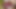 Horny babe masturbates her creamy pussy