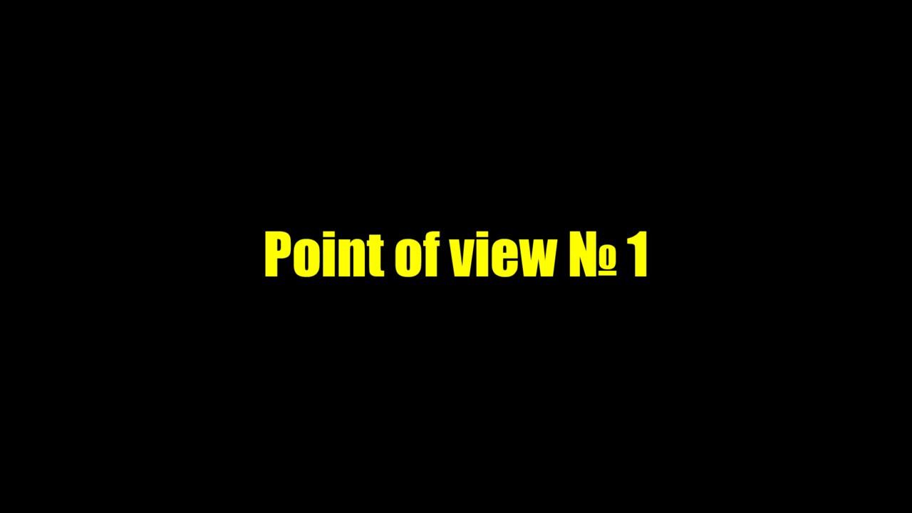 Point of view 1