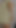 Spectacular moment from "Slow blowjob with a lot of saliva for my friend"