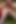 Açık havada işeme derlemesi kız travesti üzerine işiyor