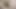 Massive cumshot from a 9 inch cock