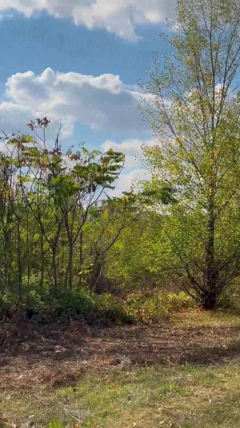 Trojka na otvorenom, duboko grlo i svršavanje sa seksi curama