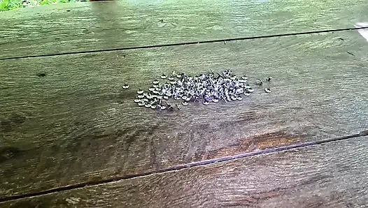 Masukin toketmu ke dalam jempol