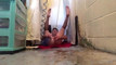 Pregled videozapisa
