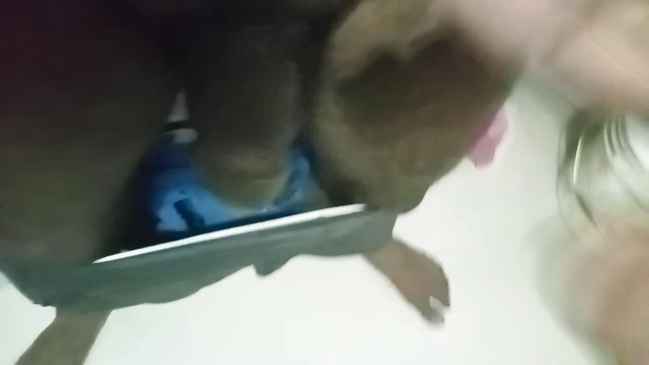 Desi Gay