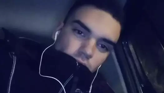 veselinoviç stefan