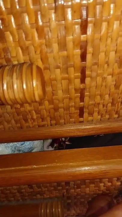 继姐妹玩胸罩