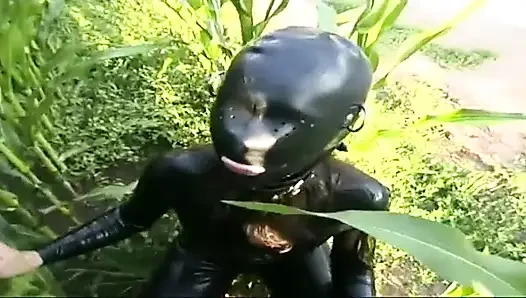 Maskiert in einer wiese